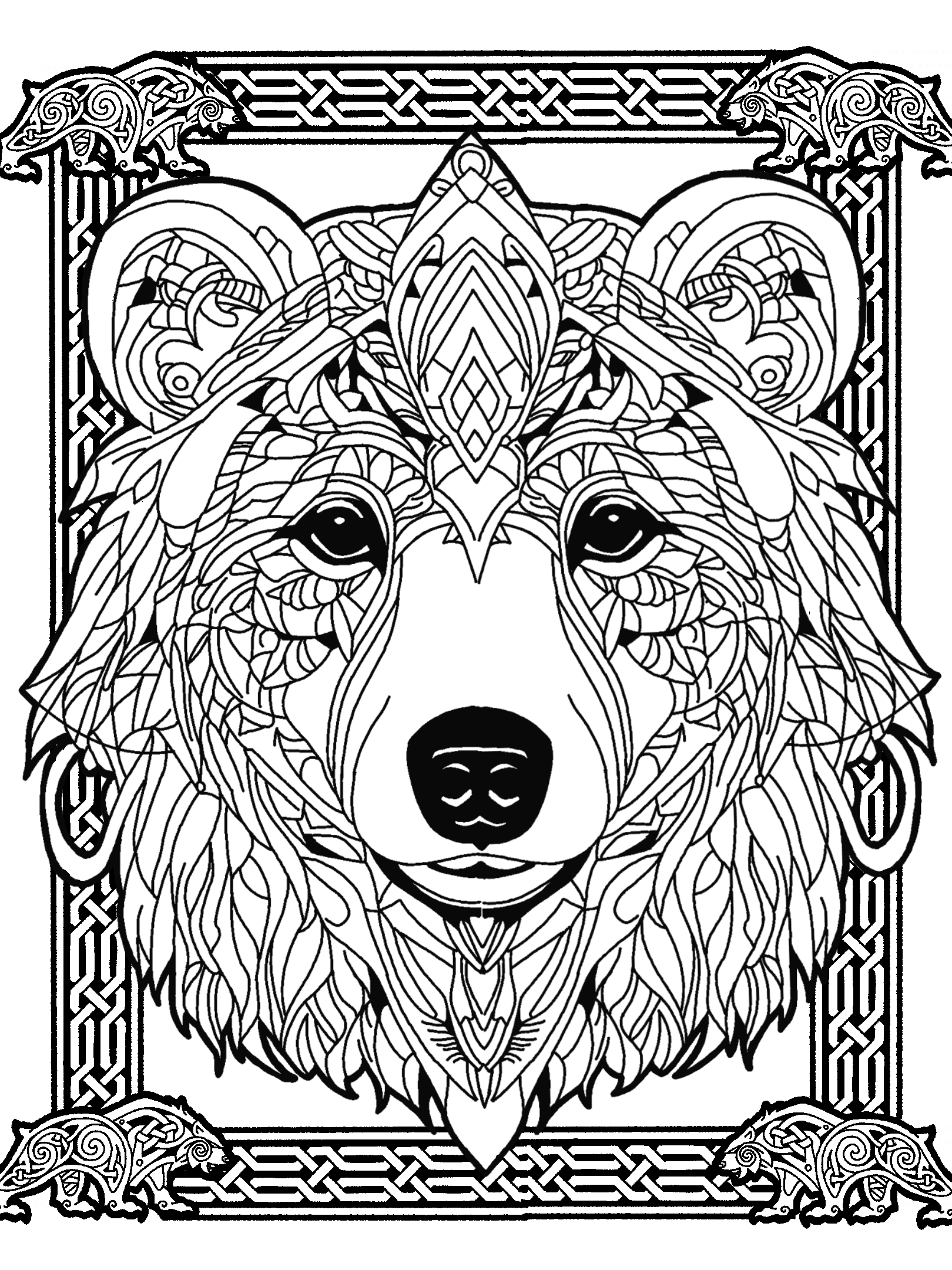 Bear No. 3