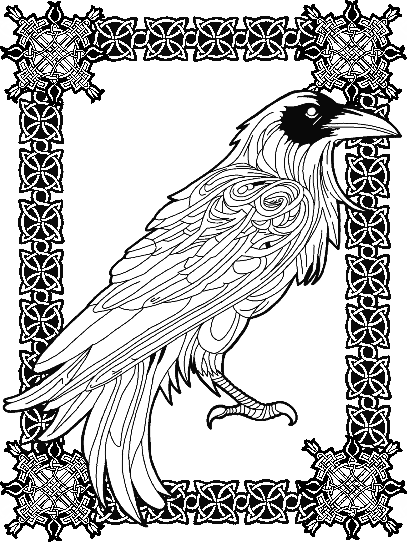 Crow