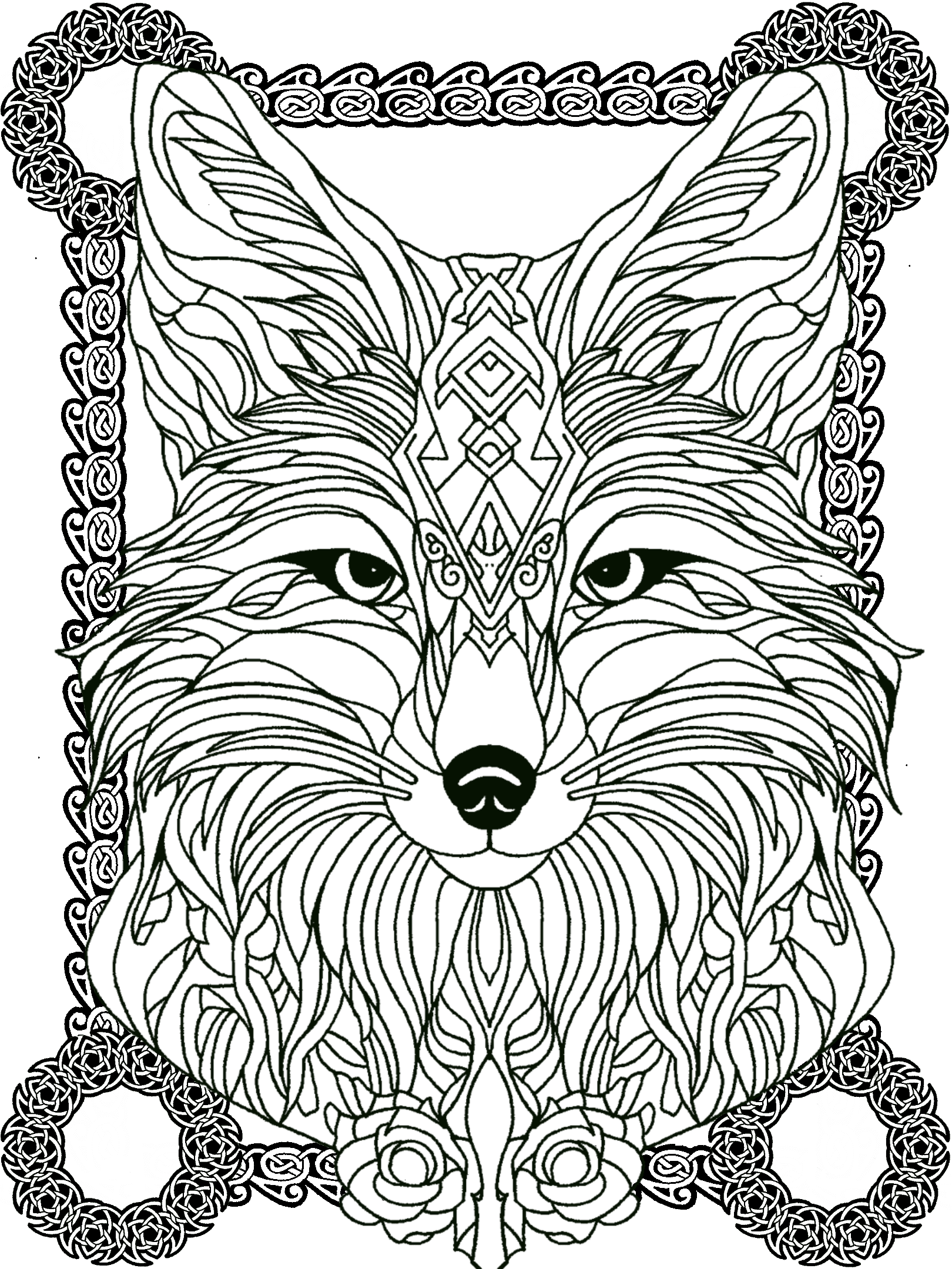 Fox