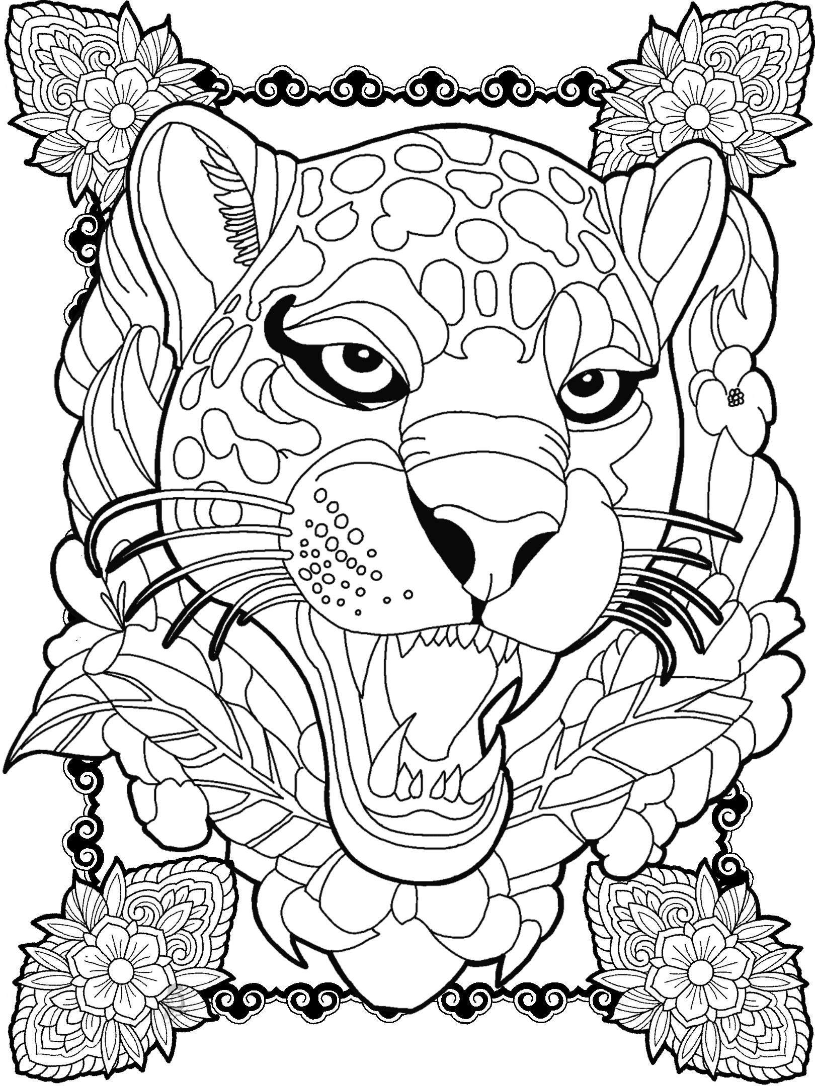 Jaguar No. 2